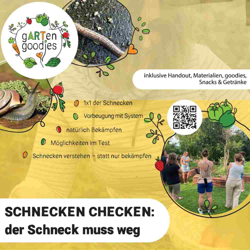 210-005 bis 006 Schnecken-checken: der Schneck muss weg