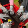 210-005 bis 240-002 Bild 1 Misthaufenparty: der Kompost