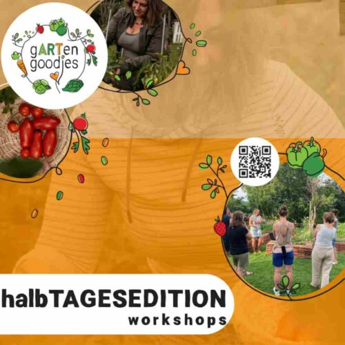 230-001 Halbtages-Workshop