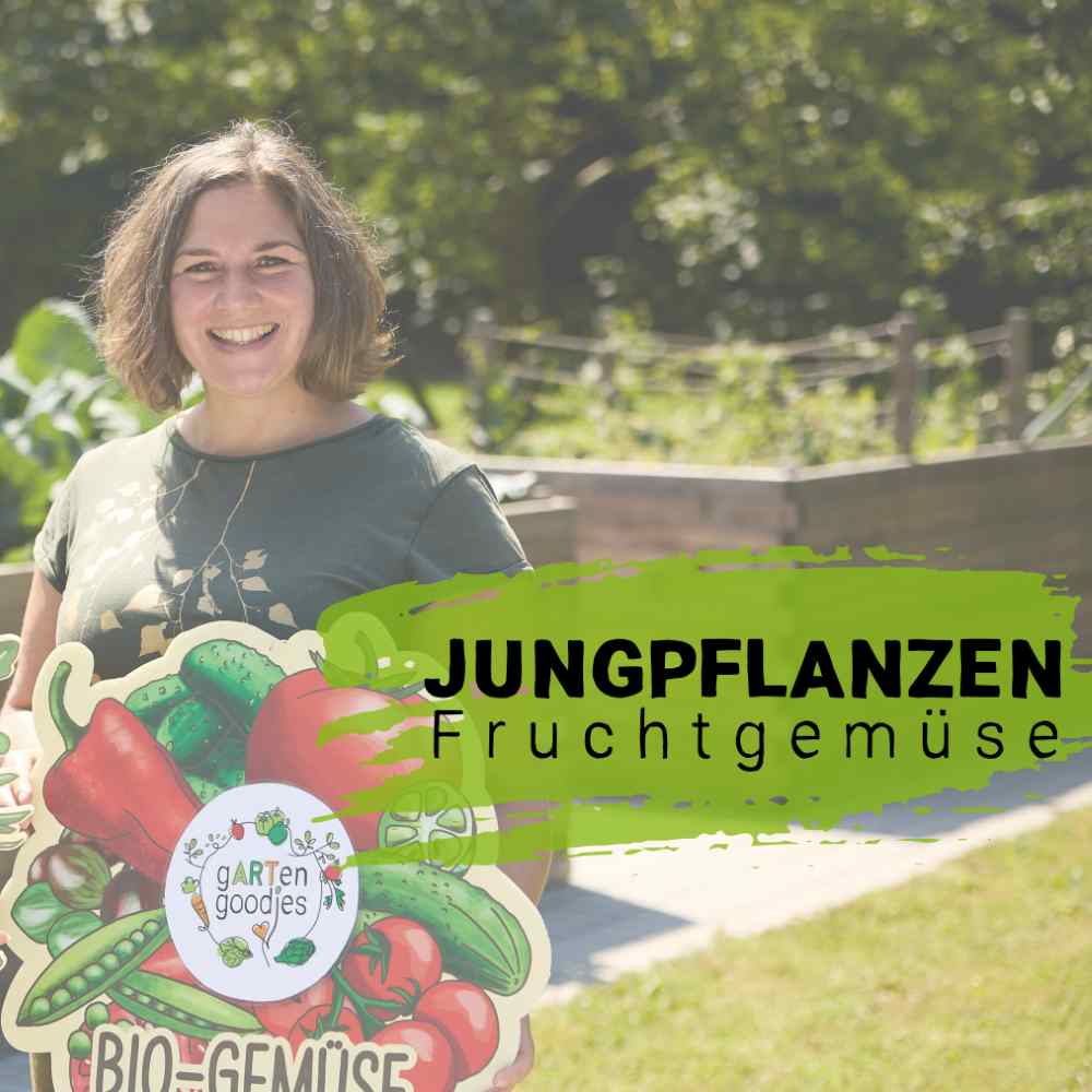 310-101 bis 310-1602 Fleischtomate