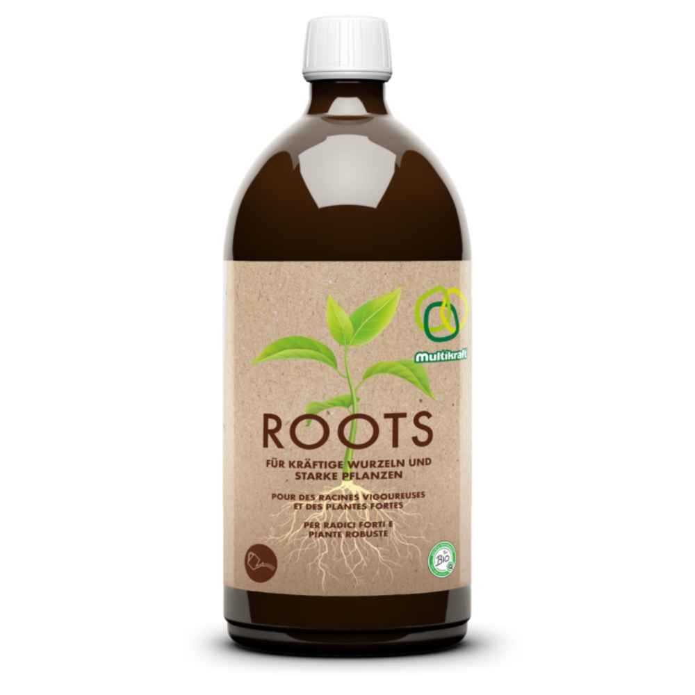 Roots