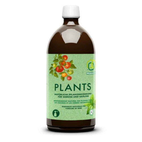 Plants