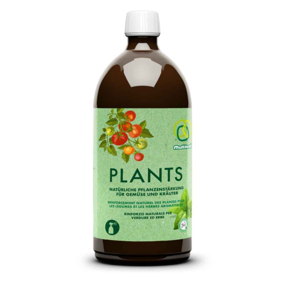 Plants