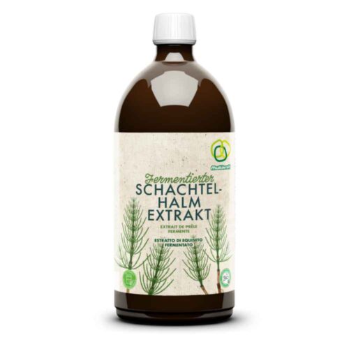 Fermentierter Schachtelhalm