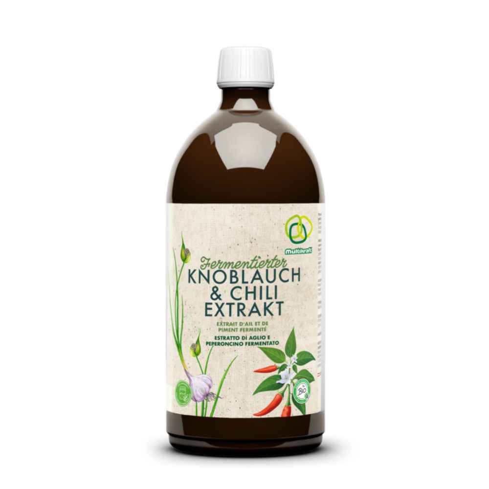 Fermentierter Knoblauch-Chili-Extrakt