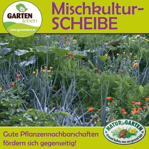 Mischkulturscheibe