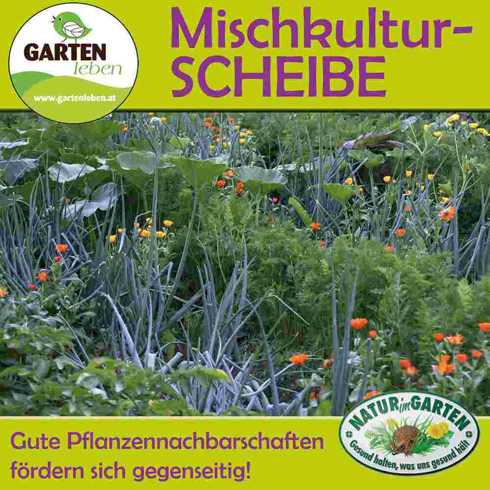 Mischkulturscheibe